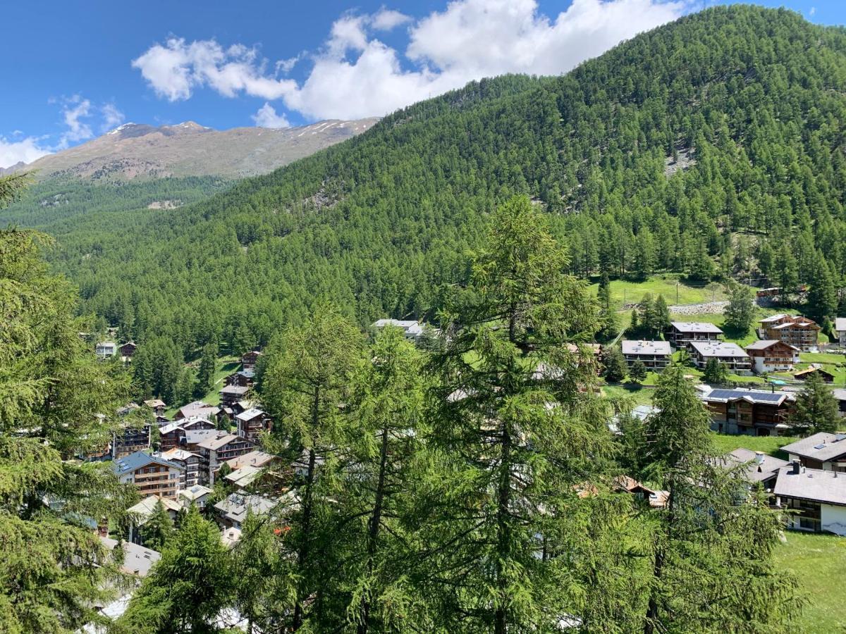 Appartements Zermatt Paradies Экстерьер фото
