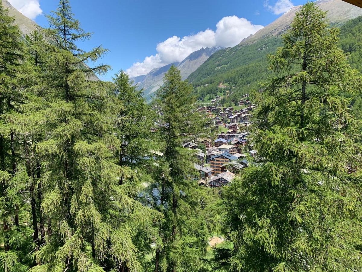 Appartements Zermatt Paradies Экстерьер фото