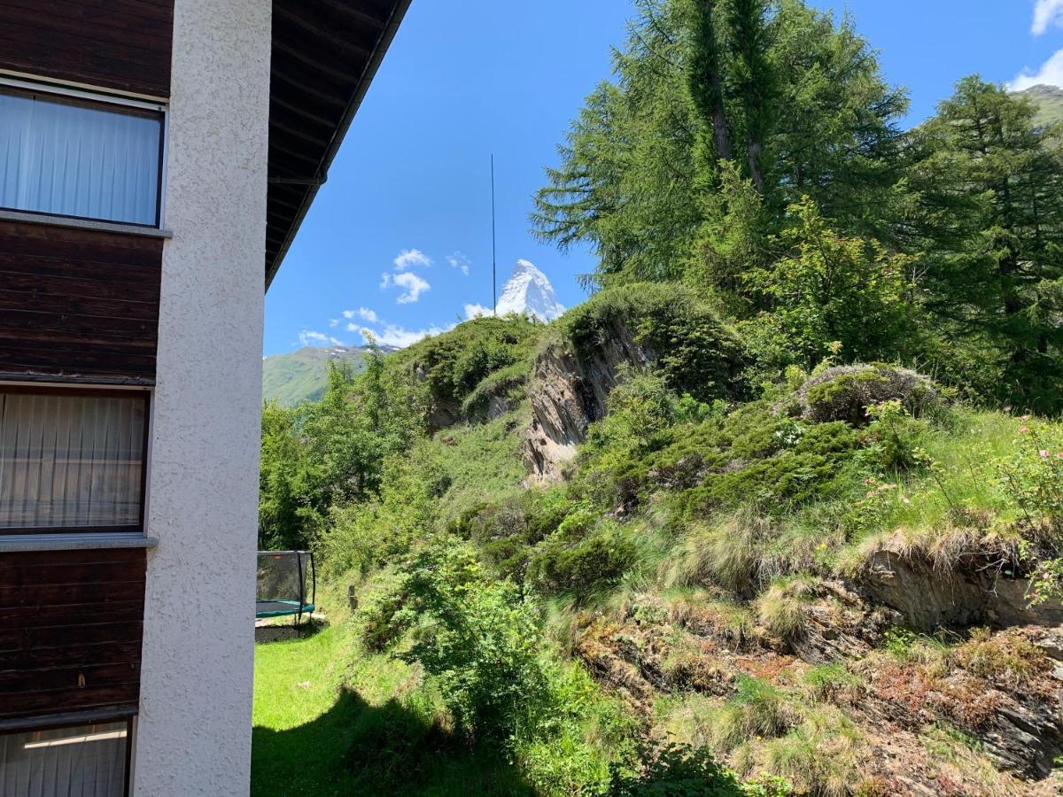 Appartements Zermatt Paradies Экстерьер фото