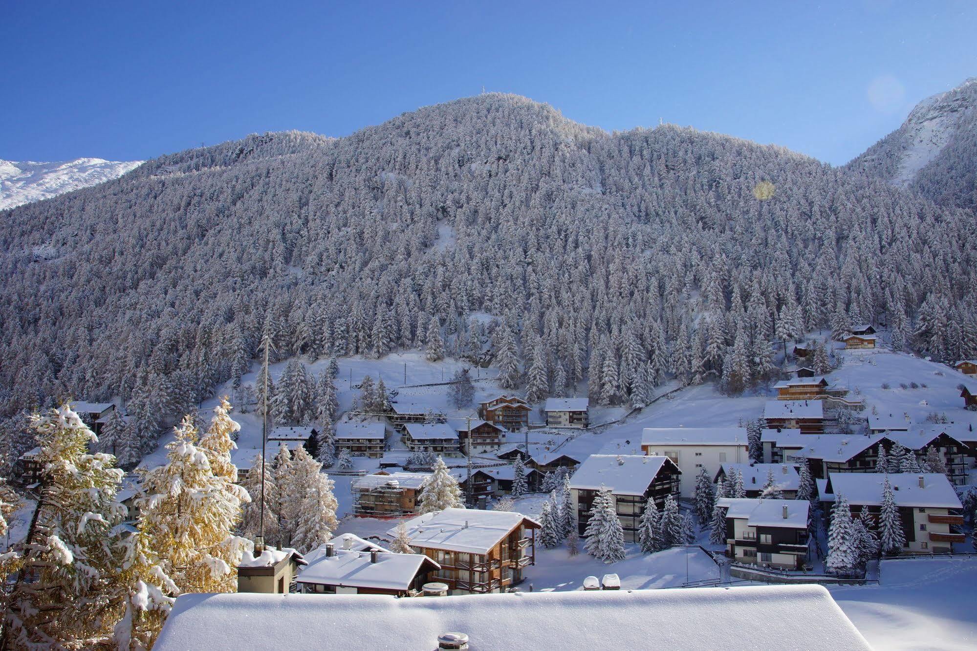 Appartements Zermatt Paradies Экстерьер фото